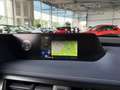 Lexus Sonstige 250 h Launch Edition LED NAV RFK SHZ ALU Weiß - thumbnail 15