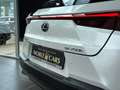 Lexus Sonstige 250 h Launch Edition LED NAV RFK SHZ ALU Weiß - thumbnail 23