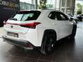 Lexus Sonstige 250 h Launch Edition LED NAV RFK SHZ ALU Weiß - thumbnail 7