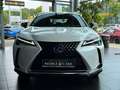 Lexus Sonstige 250 h Launch Edition LED NAV RFK SHZ ALU Weiß - thumbnail 2