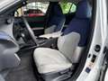 Lexus Sonstige 250 h Launch Edition LED NAV RFK SHZ ALU Weiß - thumbnail 9