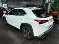 Lexus Sonstige 250 h Launch Edition LED NAV RFK SHZ ALU Weiß - thumbnail 5