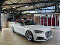 Audi S5 3.0 TFSI quattro Cabrio*ACC*B&O*LED*H&R* Weiß - thumbnail 15