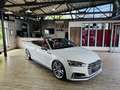 Audi S5 3.0 TFSI quattro Cabrio*ACC*B&O*LED*H&R* Weiß - thumbnail 14