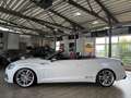 Audi S5 3.0 TFSI quattro Cabrio*ACC*B&O*LED*H&R* Weiß - thumbnail 5