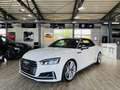 Audi S5 3.0 TFSI quattro Cabrio*ACC*B&O*LED*H&R* Weiß - thumbnail 2
