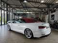 Audi S5 3.0 TFSI quattro Cabrio*ACC*B&O*LED*H&R* Weiß - thumbnail 8
