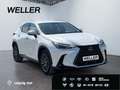 Lexus E-FOUR Executive Line *AHK*Leder*360Grad* Weiß - thumbnail 4
