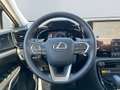 Lexus E-FOUR Executive Line *AHK*Leder*360Grad* Weiß - thumbnail 13
