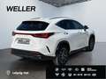 Lexus E-FOUR Executive Line *AHK*Leder*360Grad* Weiß - thumbnail 19