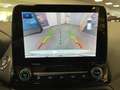 Ford EcoSport 1.0 benzina 125cv.  ST-Line ,GARANZIA FORD 47 MESI Bianco - thumbnail 11