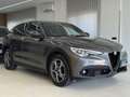 Alfa Romeo Stelvio Stelvio 2020 2.2 t Business rwd 160cv auto Grigio - thumbnail 4