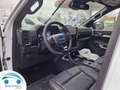 Ford Ranger 2.0 Eco blue WILDTRACK 205 pk e-4WB Blanc - thumbnail 22