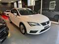 SEAT Leon 5p 1.6 tdi cr Business Led s&s 105cv - thumbnail 5