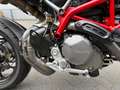 Ducati Hypermotard 950 2019 | TERMIGNONI | DESMO SERVICE | EVOTECH Rood - thumbnail 11