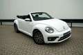 Volkswagen New Beetle CABRIO  ALLSTAR  AUTOMAAT  APPLE CARPLAY  TOP Weiß - thumbnail 3