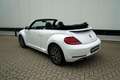 Volkswagen New Beetle CABRIO  ALLSTAR  AUTOMAAT  APPLE CARPLAY  TOP Weiß - thumbnail 2