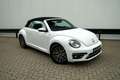 Volkswagen New Beetle CABRIO  ALLSTAR  AUTOMAAT  APPLE CARPLAY  TOP Weiß - thumbnail 5