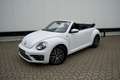 Volkswagen New Beetle CABRIO  ALLSTAR  AUTOMAAT  APPLE CARPLAY  TOP Weiß - thumbnail 1