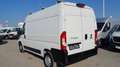 Fiat Ducato 2,3 Multijet L2H2 140 Weiß - thumbnail 6