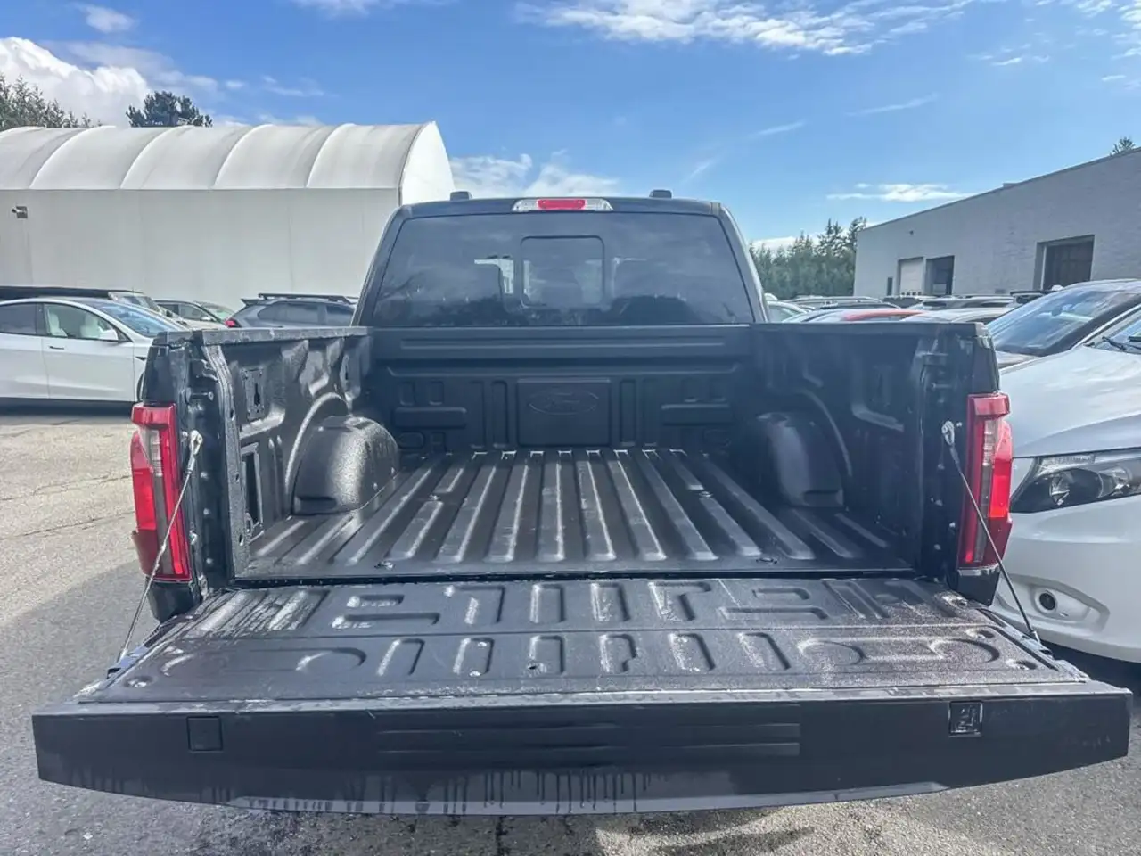Ford F 150 снимка Ford F 150