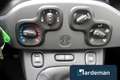 Fiat Panda 0.9 TwinAir Lounge Airco 5Pers. Weiß - thumbnail 13