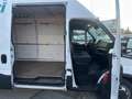 Iveco Daily 35C16 FurgXLH2 Hi-Matic GancioT4600x1740x1900kg900 Bianco - thumbnail 15