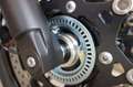 Suzuki V-Strom DL 650 Neu A2 möglich Modell 2024 Grigio - thumbnail 4