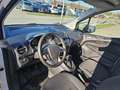 Ford Transit Courier Transit Courier 1,5 TDCi Trend Weiß - thumbnail 3