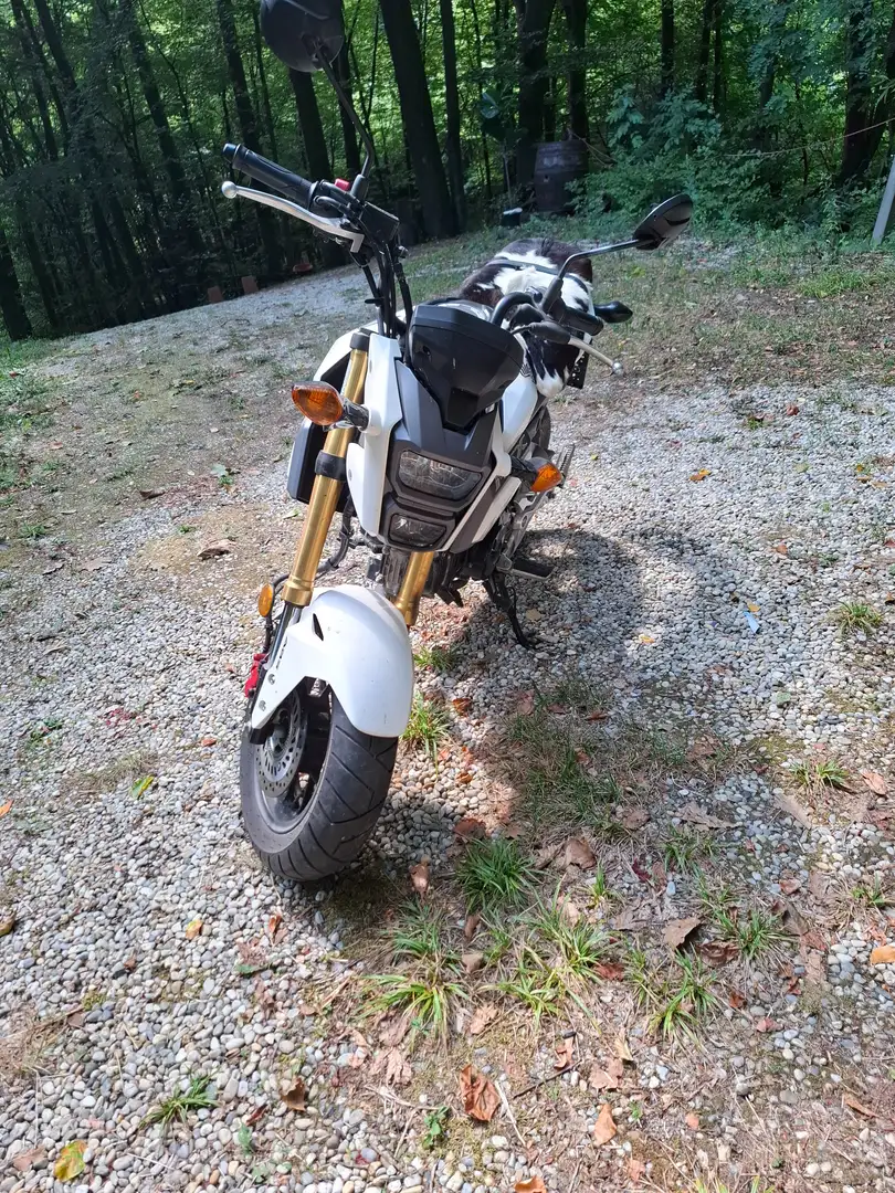 Honda MSX 125 JC75/1/1 Noir - 2