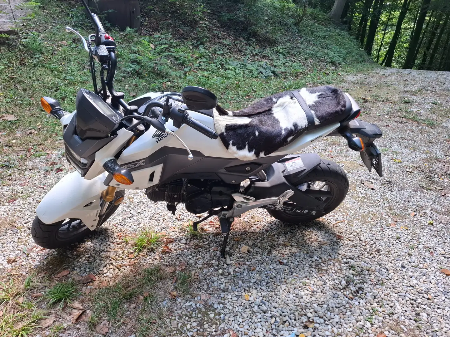 Honda MSX 125 JC75/1/1 Noir - 1