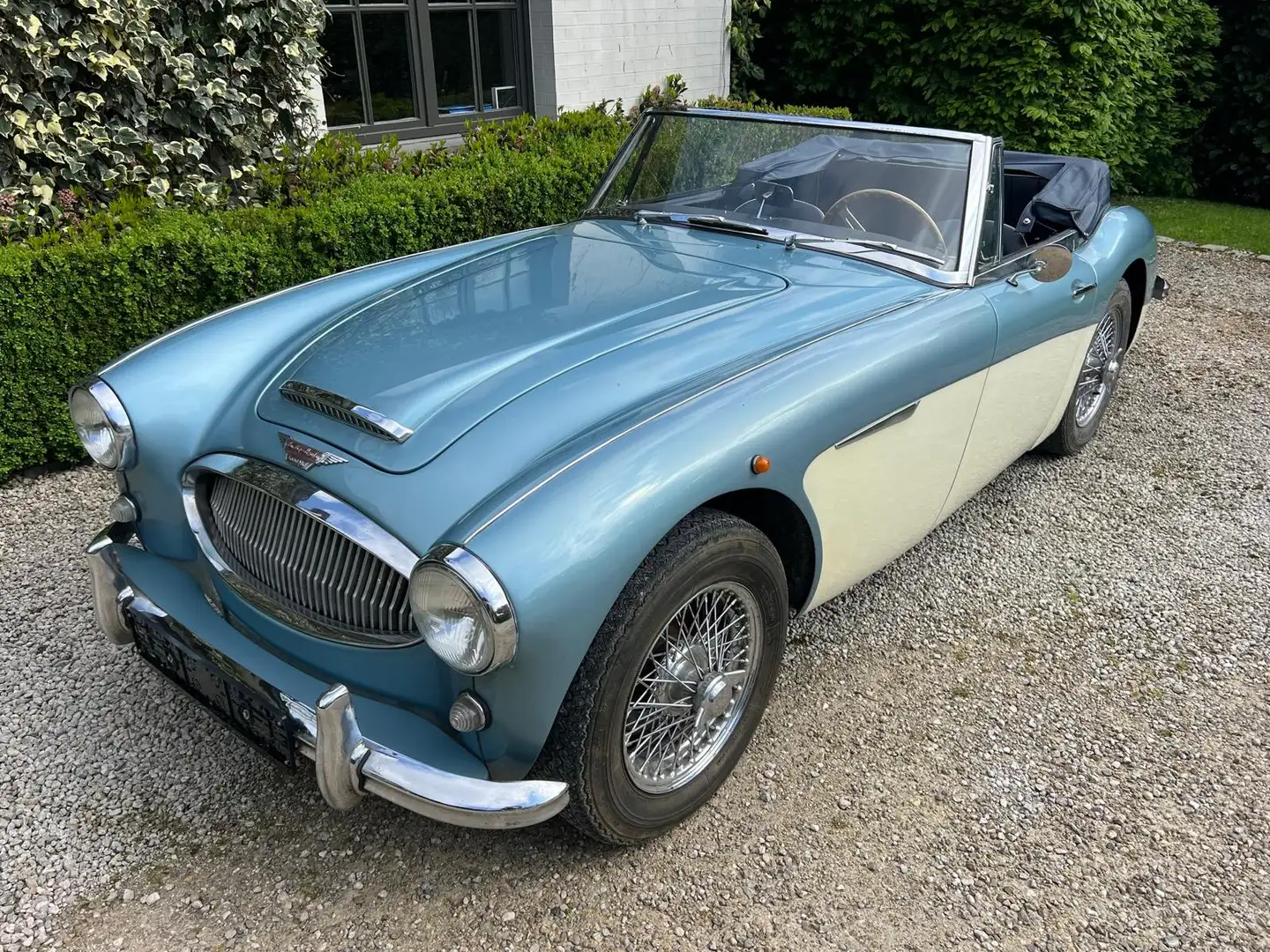 Austin-Healey 3000 MK2 Blau - 2