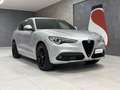 Alfa Romeo Stelvio Stelvio 2.2 t Veloce Q4 210cv auto My 21 Silver - thumbnail 1