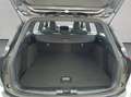 Ford Focus Turnier 1.5 EcoBlue Aut. ST-LINE NAVI+RFK+S Grigio - thumbnail 5