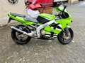 Kawasaki Ninja ZX-6R Zx-636 Verde - thumbnail 7