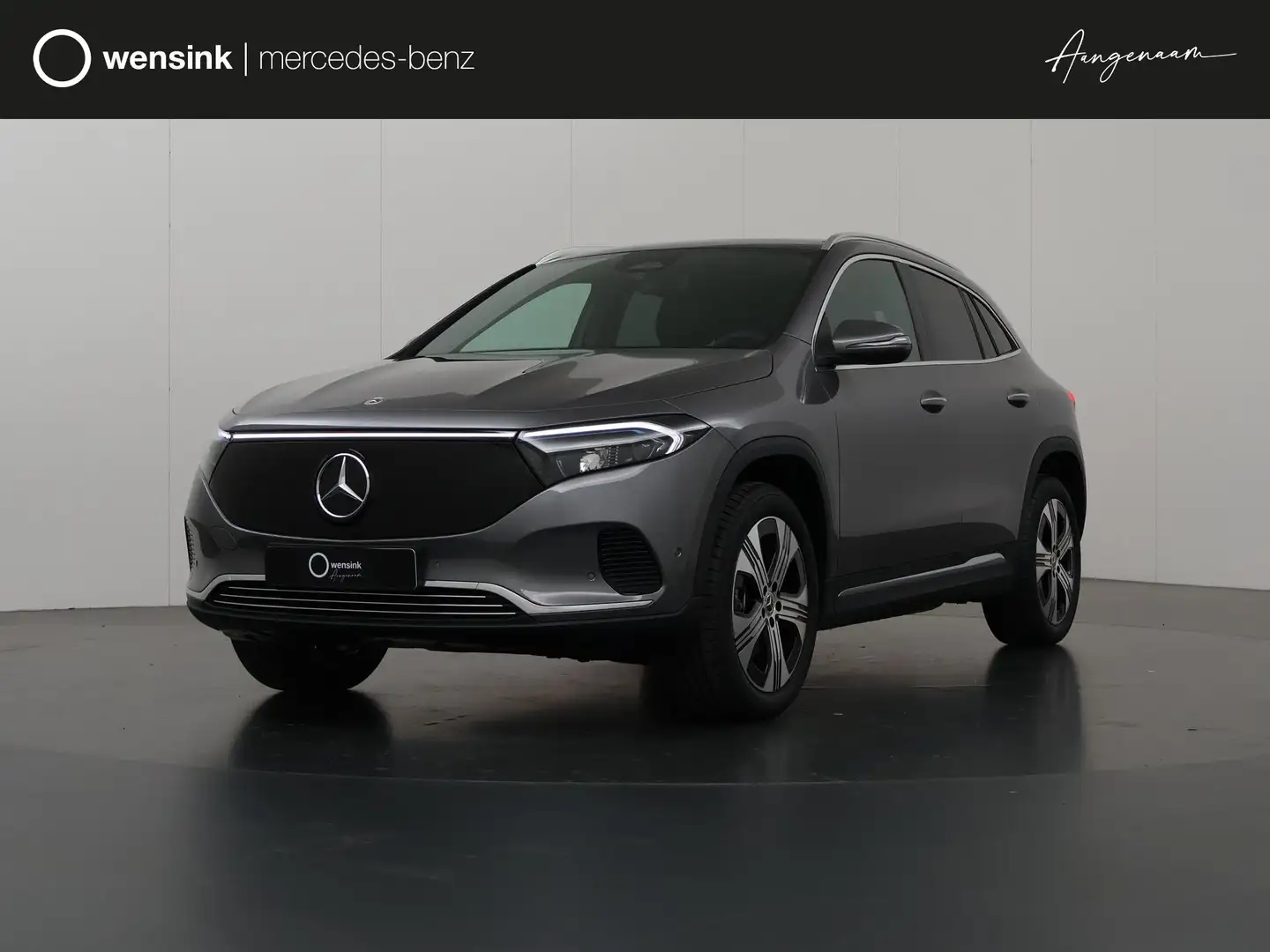 Mercedes-Benz EQA 250 250+ Luxury Line Trekhaak | Donker getint glas | P - 1