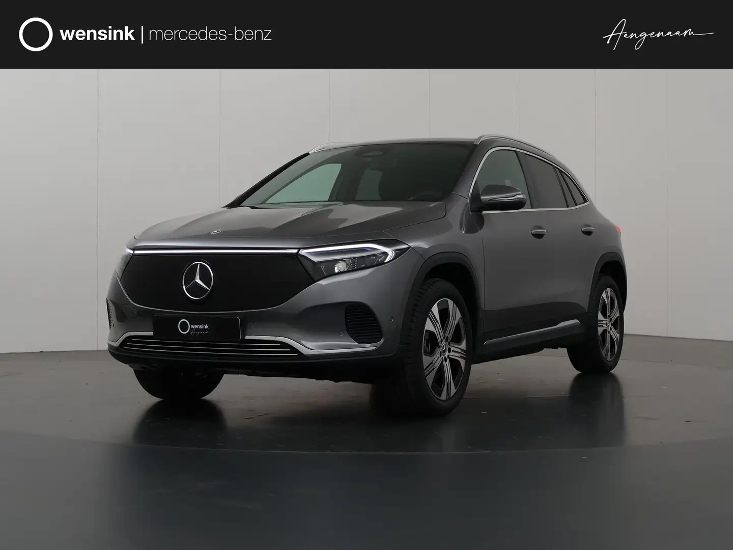 Mercedes-Benz EQA 250 250+ Luxury Line | Trekhaak | Donker getint glas | Grijs - 1