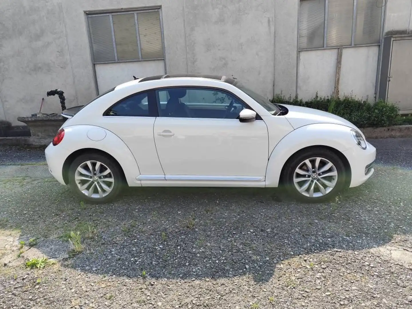 Volkswagen Maggiolino Maggiolino 1.4 tsi Design 160cv Blanc - 1