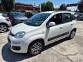 Fiat Panda 1.2 EasyPower Lounge GPL NEOPATENTATO Blanc - thumbnail 2