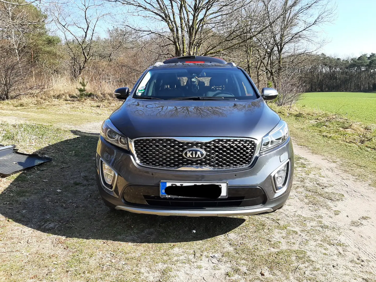 Kia Sorento 2.2 CRDi AWD Platinum 7 Sitzer Grau - 2