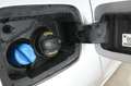 SEAT Ibiza 1,6 TDI Style Gris - thumbnail 22