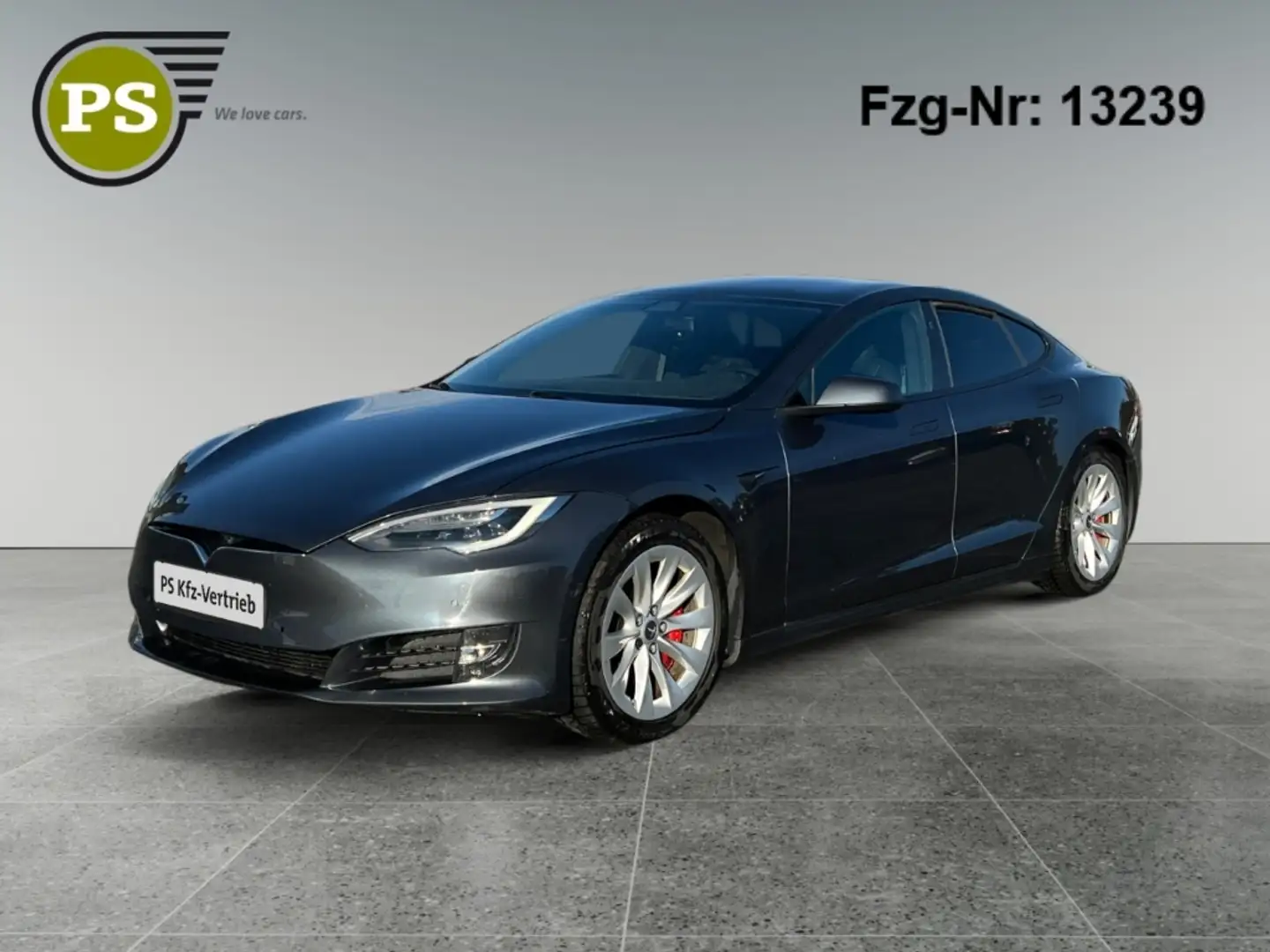 Tesla Model S Performance 4x4 PDC Kamera Leder LED Nav Gris - 1