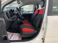Fiat Panda Panda III 2016 1.2 Pop s Bianco - thumbnail 10