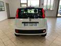 Fiat Panda Panda III 2016 1.2 Pop s Bianco - thumbnail 5