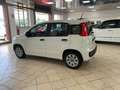 Fiat Panda Panda III 2016 1.2 Pop s Bianco - thumbnail 6