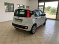Fiat Panda Panda III 2016 1.2 Pop s Bianco - thumbnail 7