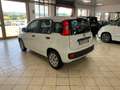 Fiat Panda Panda III 2016 1.2 Pop s Bianco - thumbnail 8