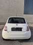 Fiat 500 0,9 TwinAir Turbo Twinair Plus | Frische Pickerl - thumbnail 6