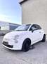 Fiat 500 0,9 TwinAir Turbo Twinair Plus | Frische Pickerl - thumbnail 2