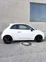 Fiat 500 0,9 TwinAir Turbo Twinair Plus | Frische Pickerl - thumbnail 4